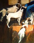 Three dogs